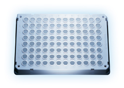 eppendorf 艾本德荧光定量 PCR 板