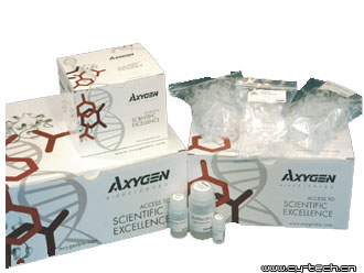 AXYGEN AP-PCRAxyPrep PCR清洁试剂盒 