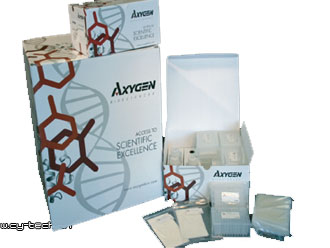 AXYGEN AP-E96-P-4AxyPrep Easy-96 质粒DNA试剂盒 