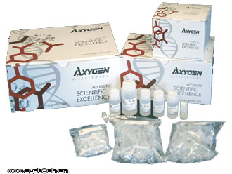 AXYGEN AP-MD-P-10AxyPrep质粒DNA中/大量试剂盒 